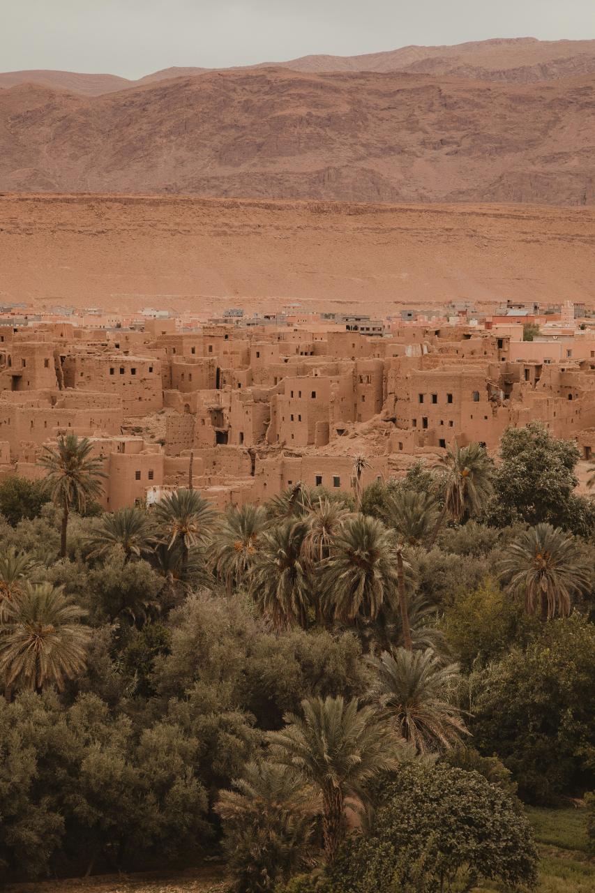 Morocco's Horizons — authentic travel experiences with locals
