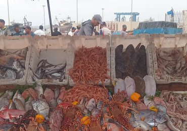 Essaouira Mogador