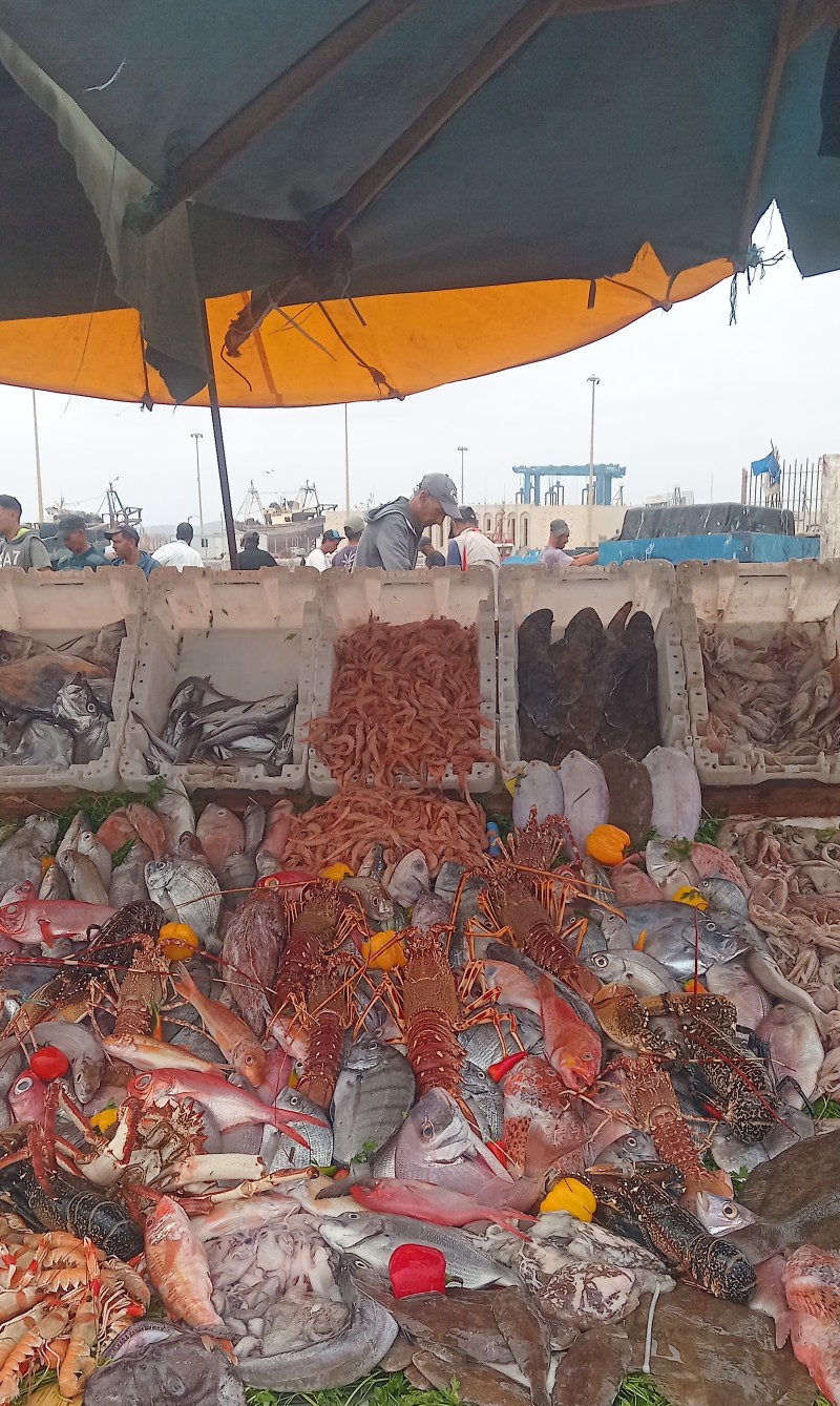 Essaouira Mogador